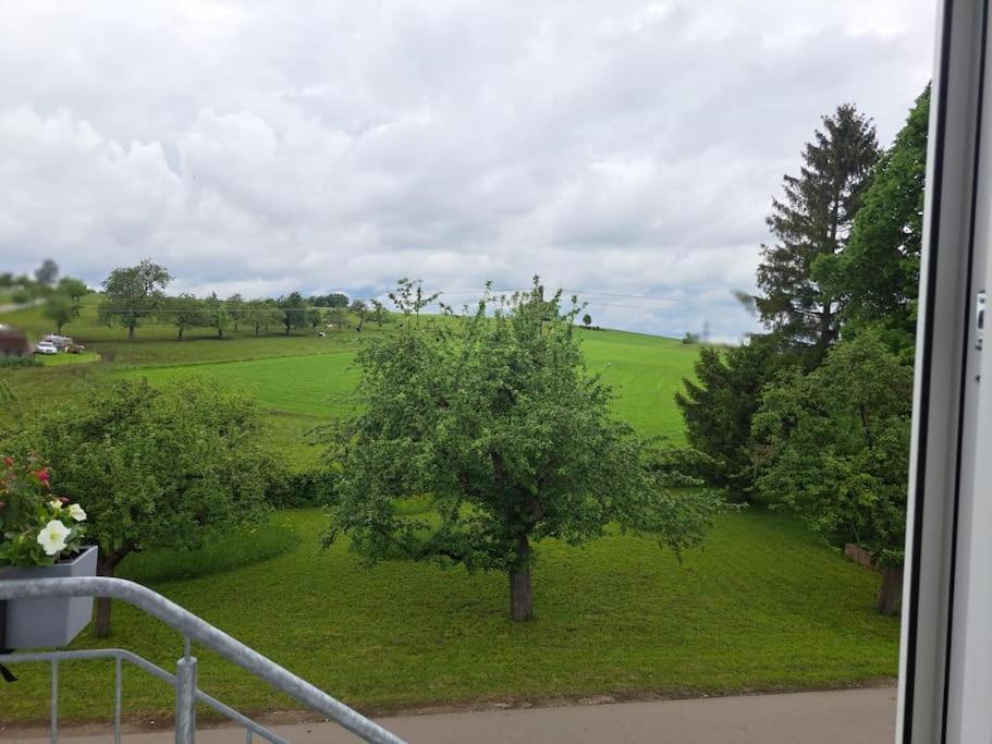 Ferienwohnung Heuboden Hüfingen エクステリア 写真